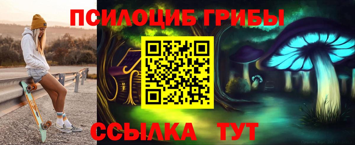 Рузаевка  Псилоцибиновые грибы Cubensis  Вход с VPN 